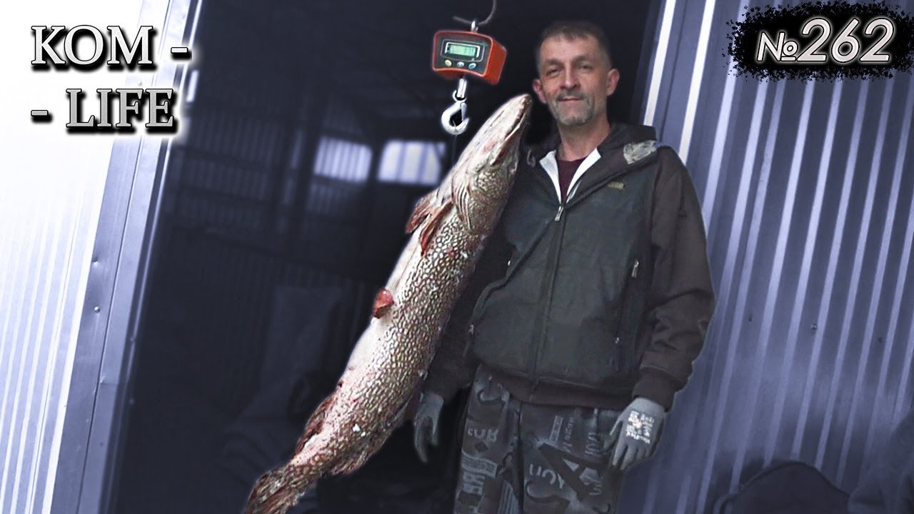 Щука в казане