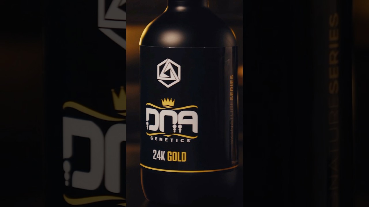Honoring legendary cultivars with 24K Gold 🏆 #24KGold #DNAGenetics #AbstraxTech #CannabisEducation