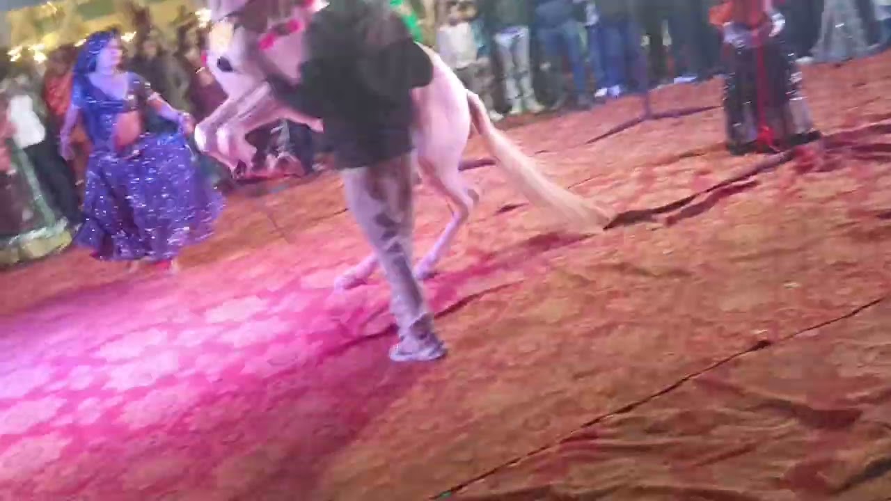 Shadi dance 🕺🕺🕺💃💃💃 program