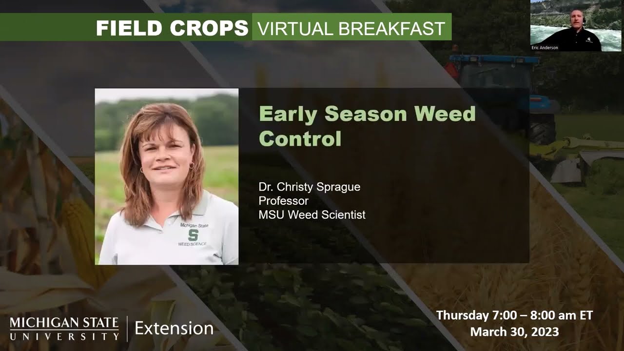 Field Crops Virtual Breakfast: Early Season Weed Control