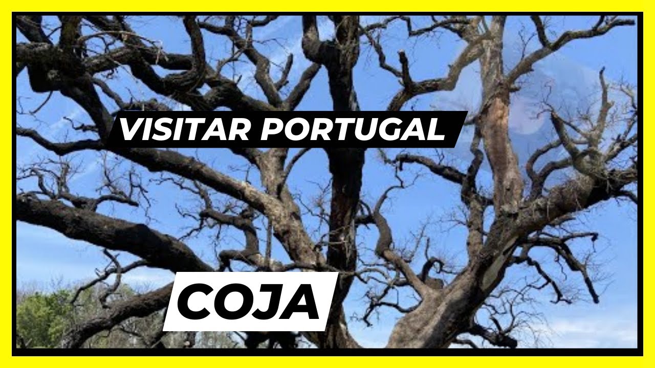 Visita a Côja e Aldeia das Dez