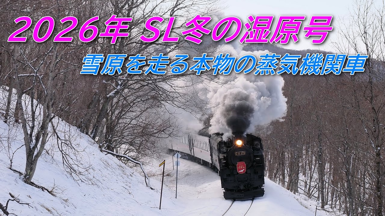 北海道鉄旅 2026年1月29日-2月1日  道東 SL冬の湿原号 雪原を走る！ 4K 60FPS
