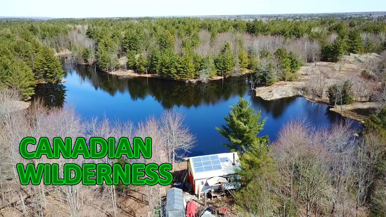 Surviving at our Off Grid Cabin in the Canadian Wilderness S4 • E12
