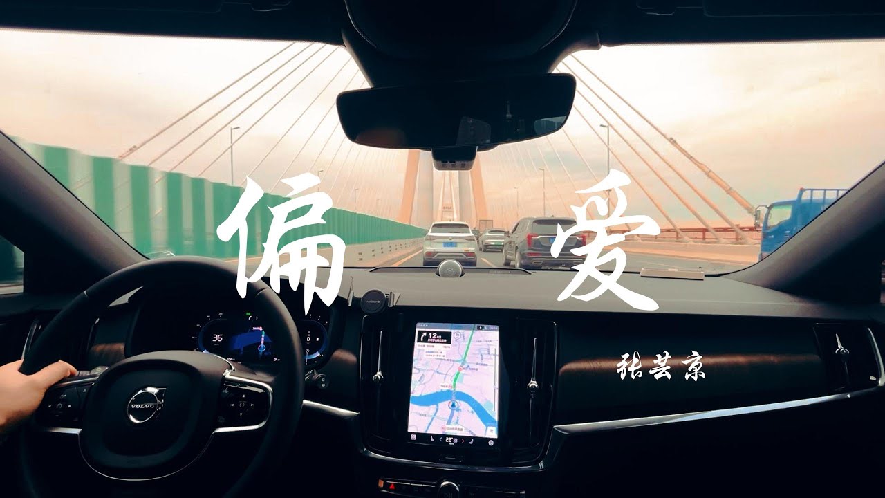 今日路线，外环线徐浦大桥，BGM《偏爱》 #张芸京 Jing chang #在路上 #音樂 #沃尔沃  #驾驶第一视角