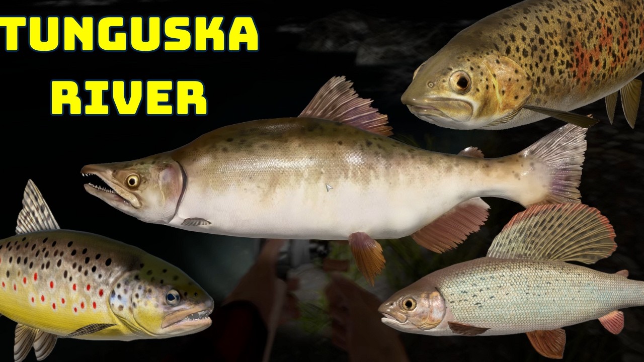 Tunguska River Całkiem fajny wynik jak na nocne łowienie (71) Russian Fishing 4