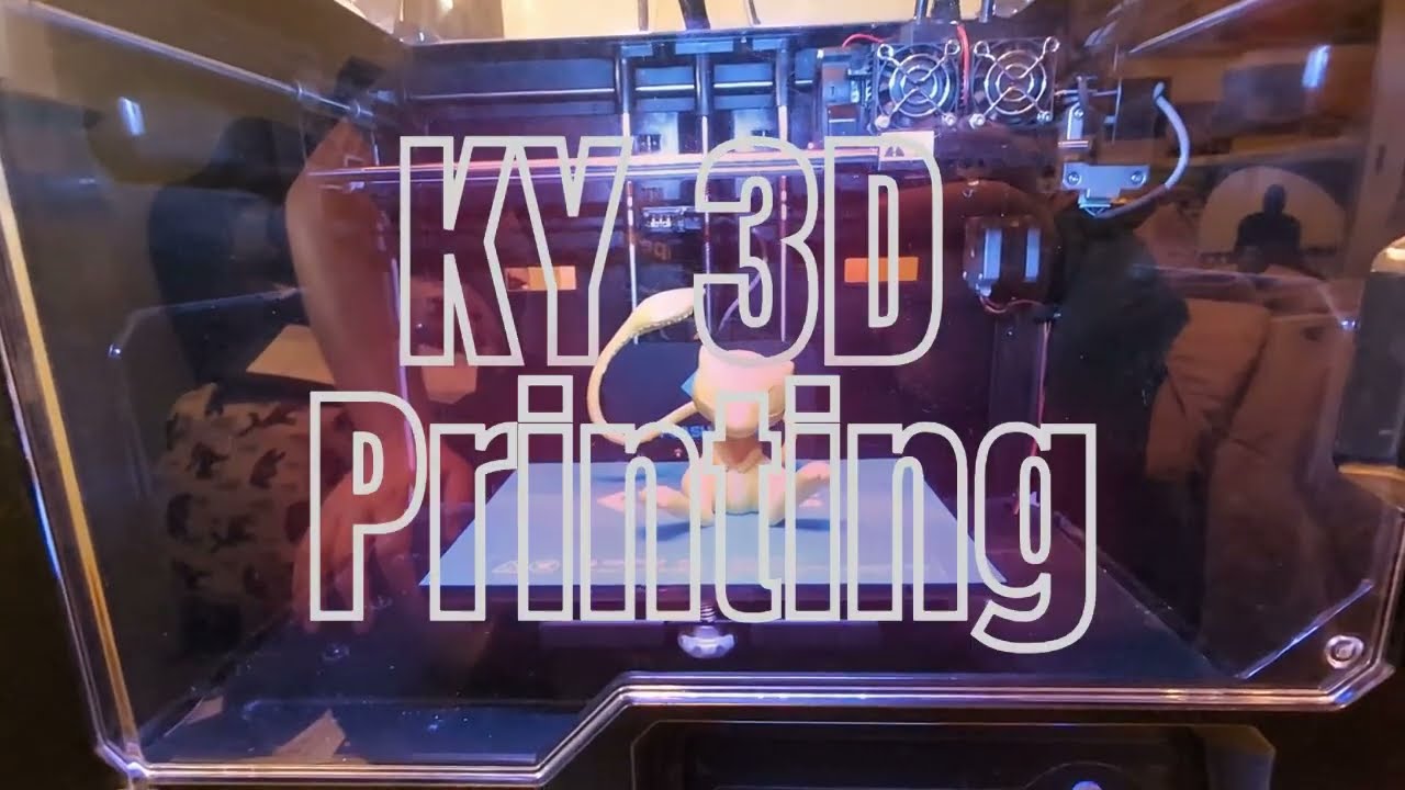 My FlashForge Creator Pro