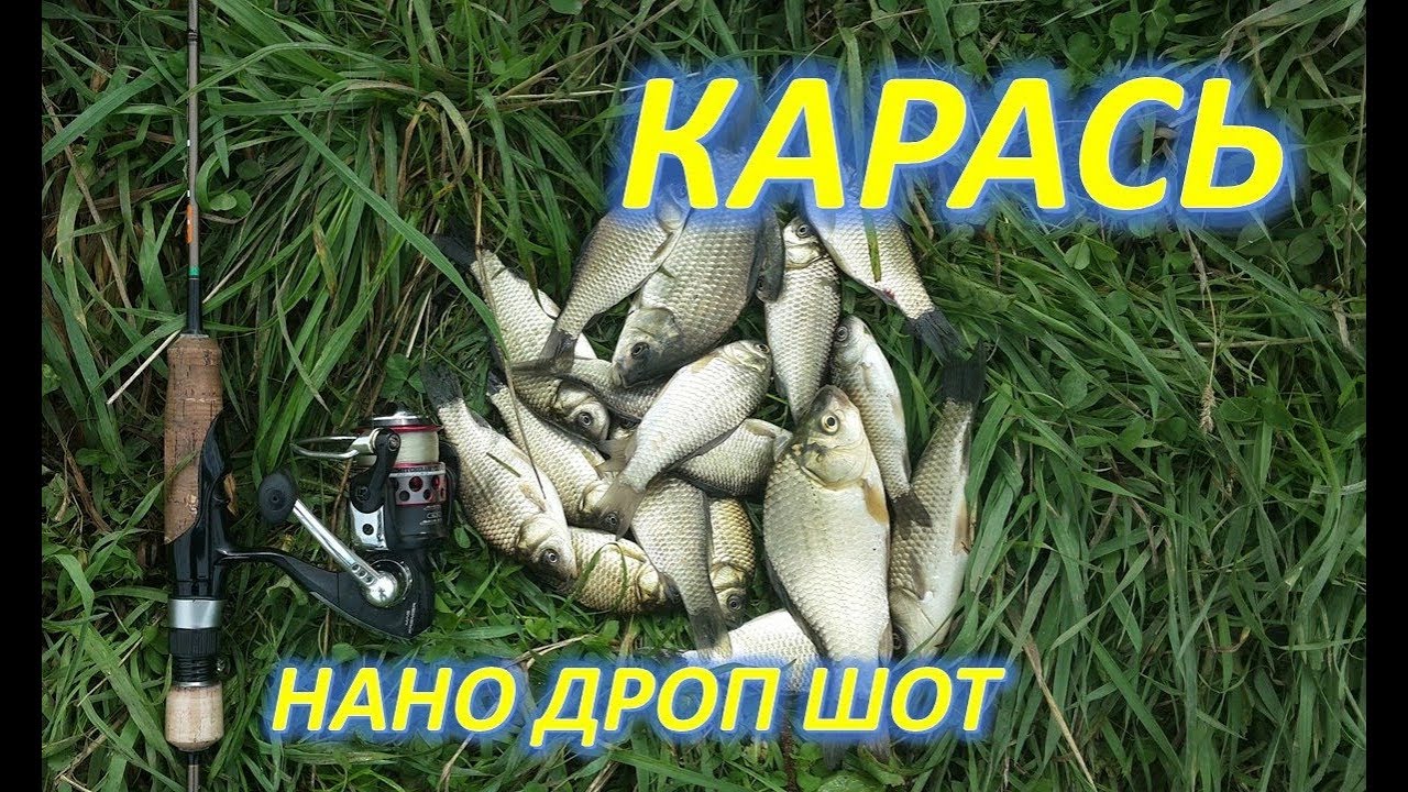 КАРАСЬ НА НАНО ДРОП ШОТ