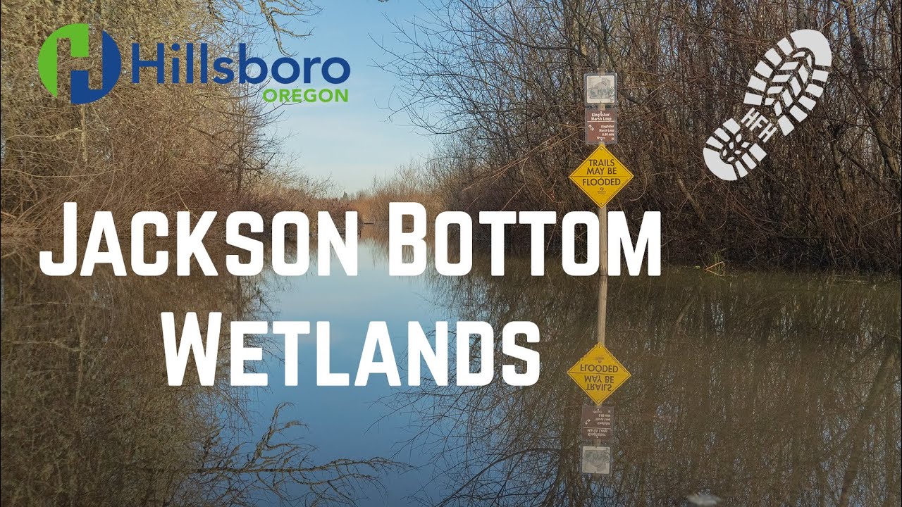 Jackson Bottom Wetlands Preserve, Hillsboro, OR - (December 2020)