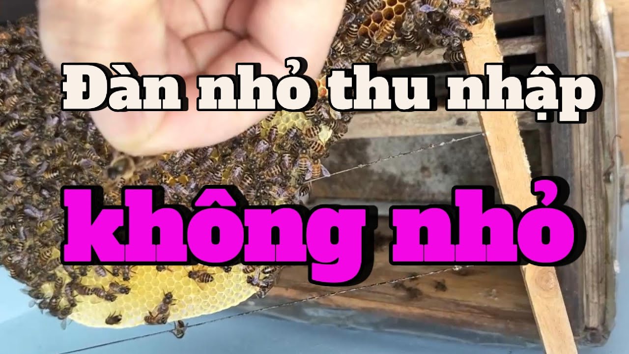 Đàn nhỏ thu nhập từ nó không nhỏ : Nếu bạn biết vận dụng đúng.