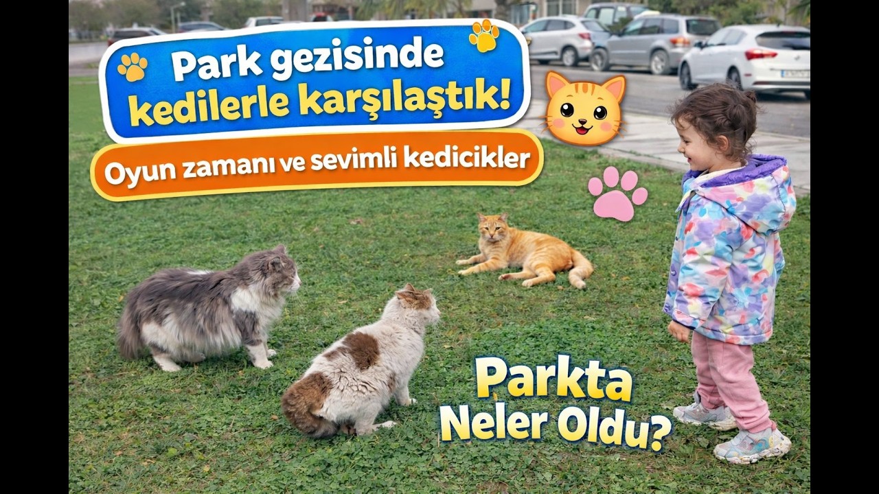 Venüs ve Sevimli Sokak Kedileri🐱Parkta Neler Oldu? #toys #video #çocuk #çocukvideoları #fun #kids