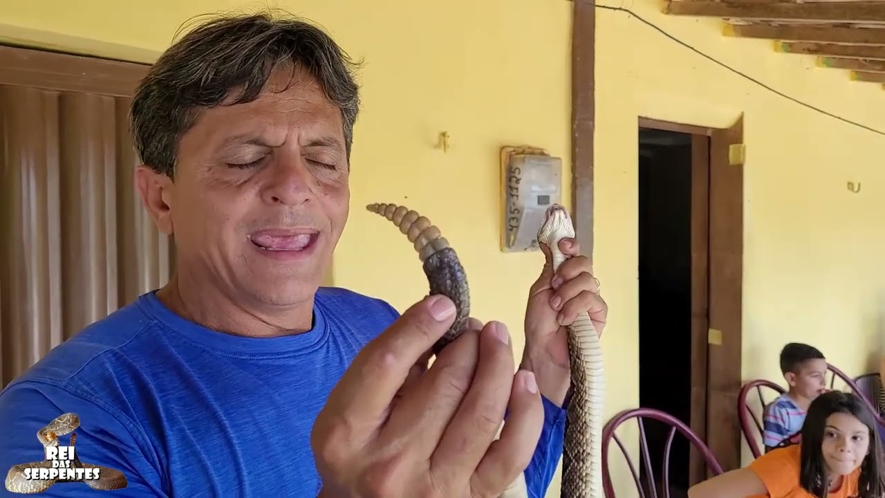 educação ambiental é a única forma de salvar nossa fauna
