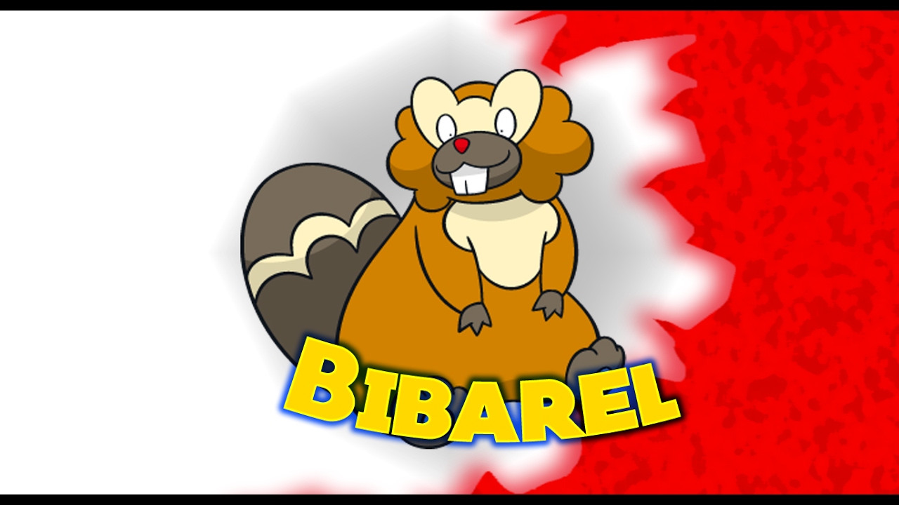 BIBAREL, ANÁLISIS Y ESTRATEGIA POKEMON | 7 GENERACIÓN | POKEMON SOL Y LUNA
