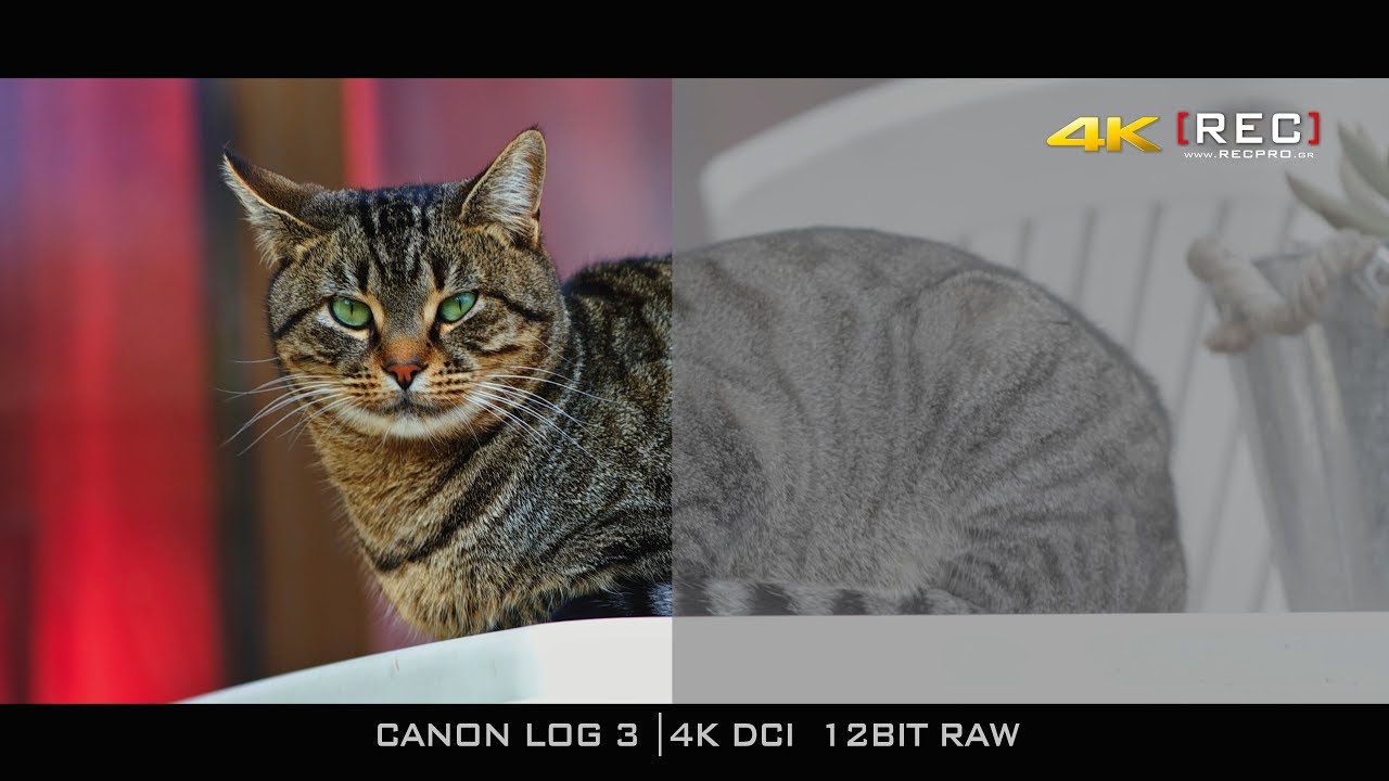CANON LOG 3 | 4K DCI 12BIT RAW GRADING TEST