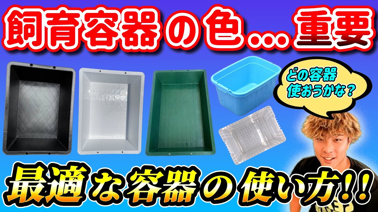 【メダカの飼育容器の色について】容器選びで迷っている方はこれをみれば解決!!５種類の容器の使い分け､特徴を解説！メダカに最適な容器が見つかります！
