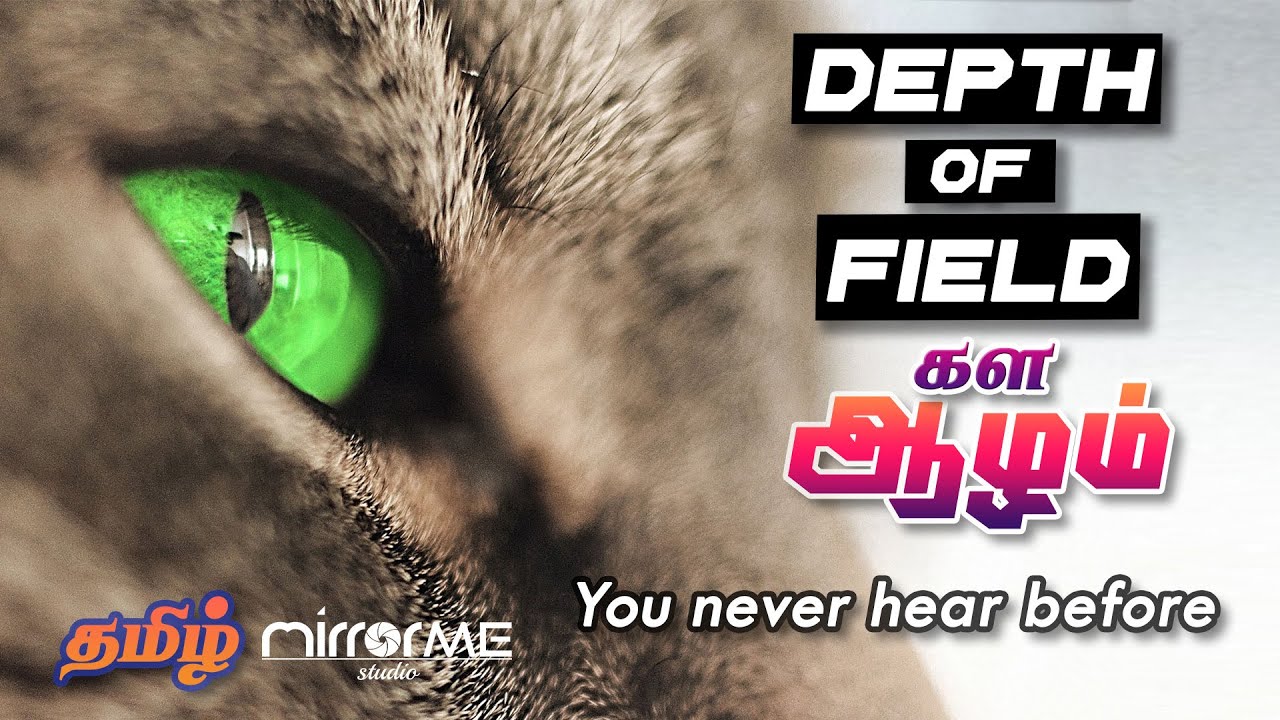 Depth of Field | Why it is Cinematic? தமிழ் | Learn Tamil photography