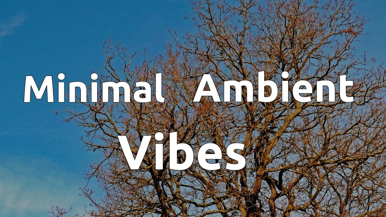 Trees - Minimal Ambient Vibes