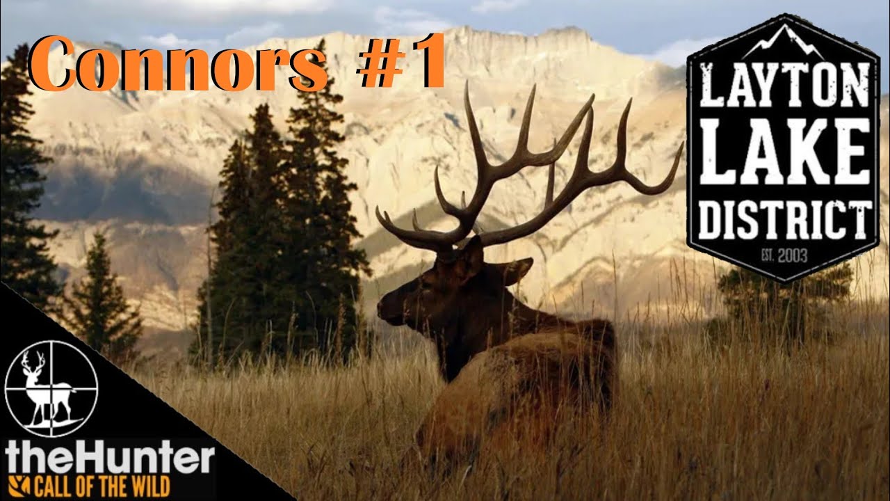 Connors #1 | Tracking Roosevelt Elk | Layton Lakes Reserve Side Missions | theHunter COTW