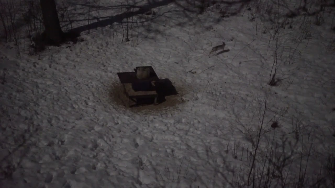 Kuutamorusakot jousella