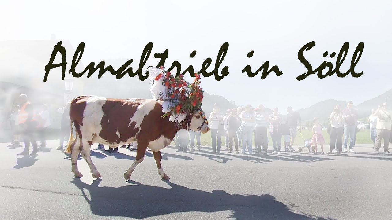Almabtrieb in Söll