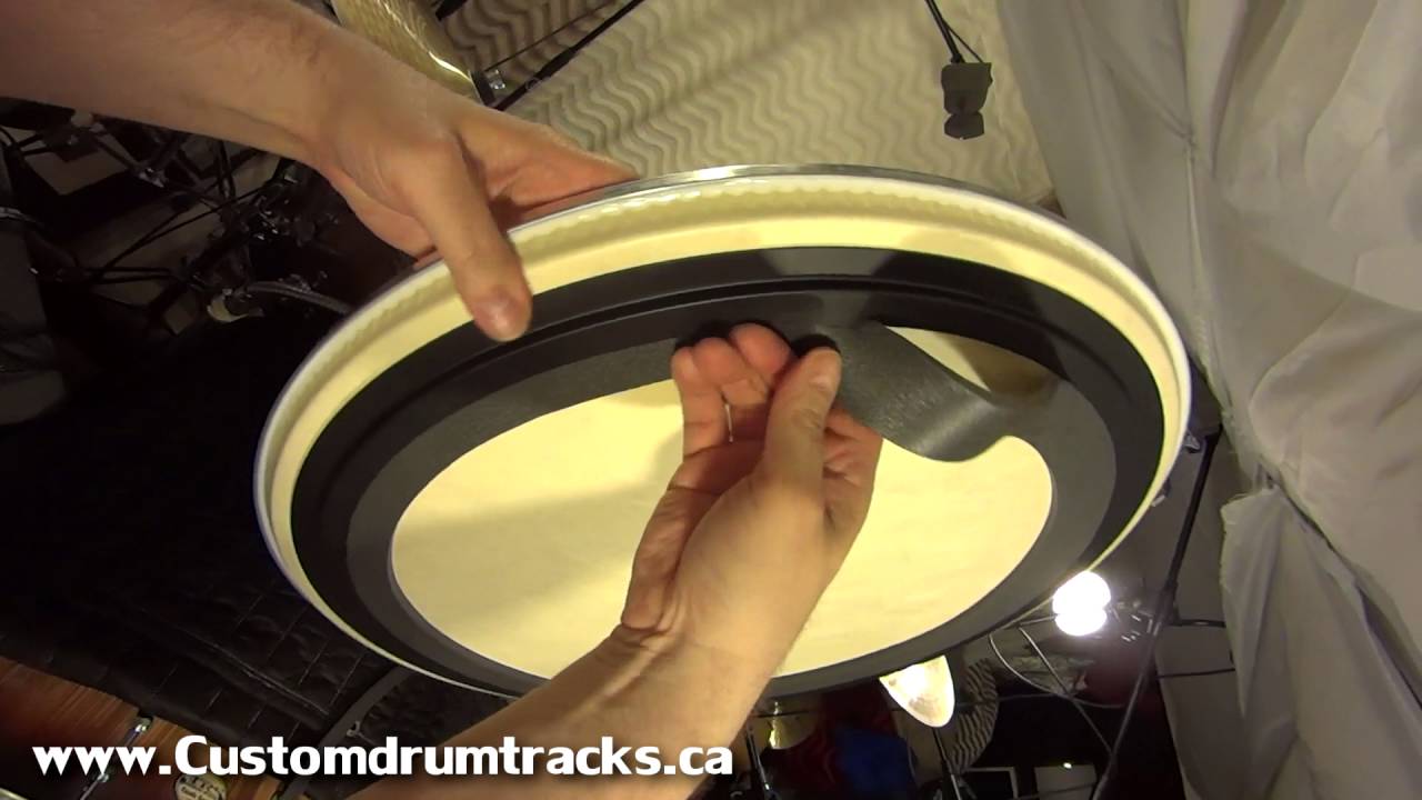Evans 56 Calftone and Coated Emad bass drum comparison