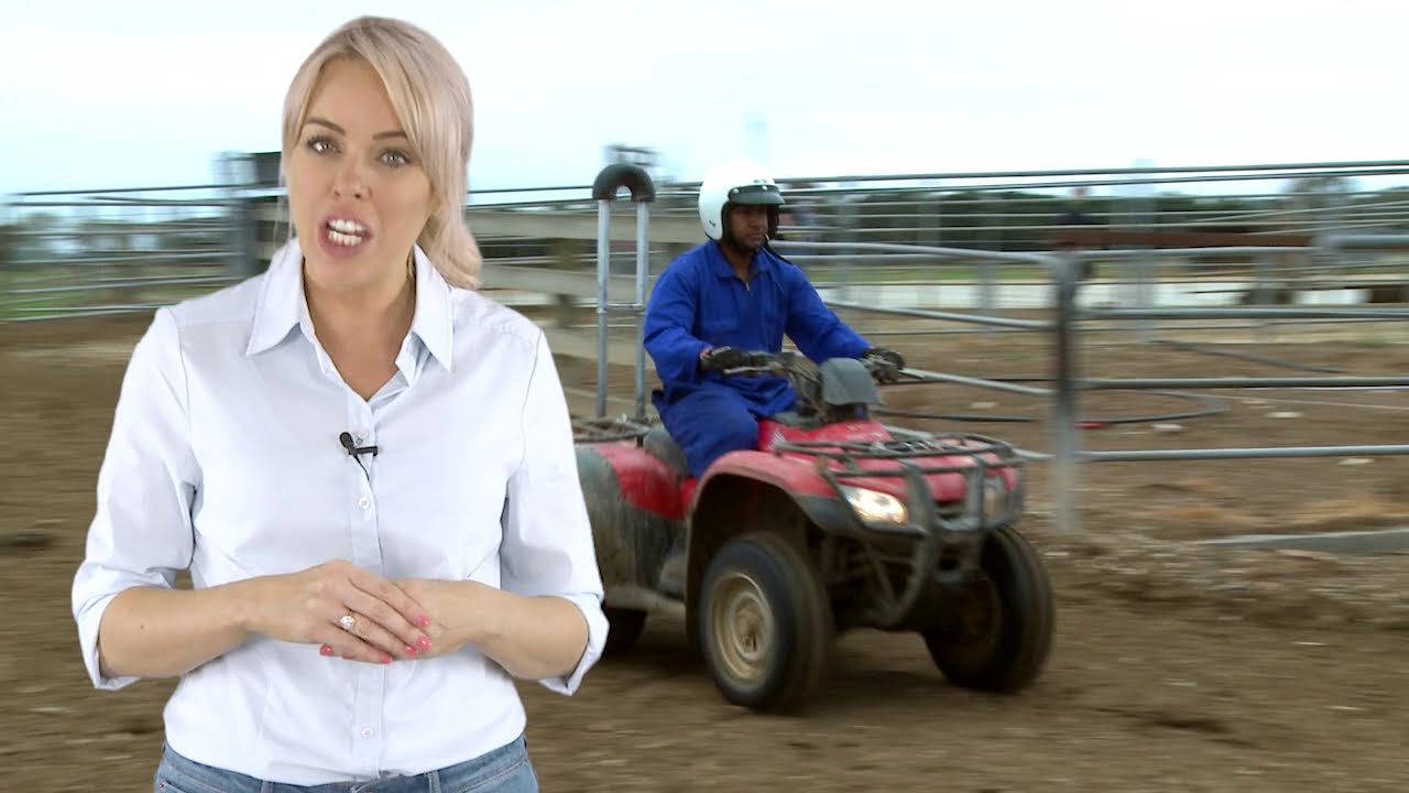 Quad bikes - Overview