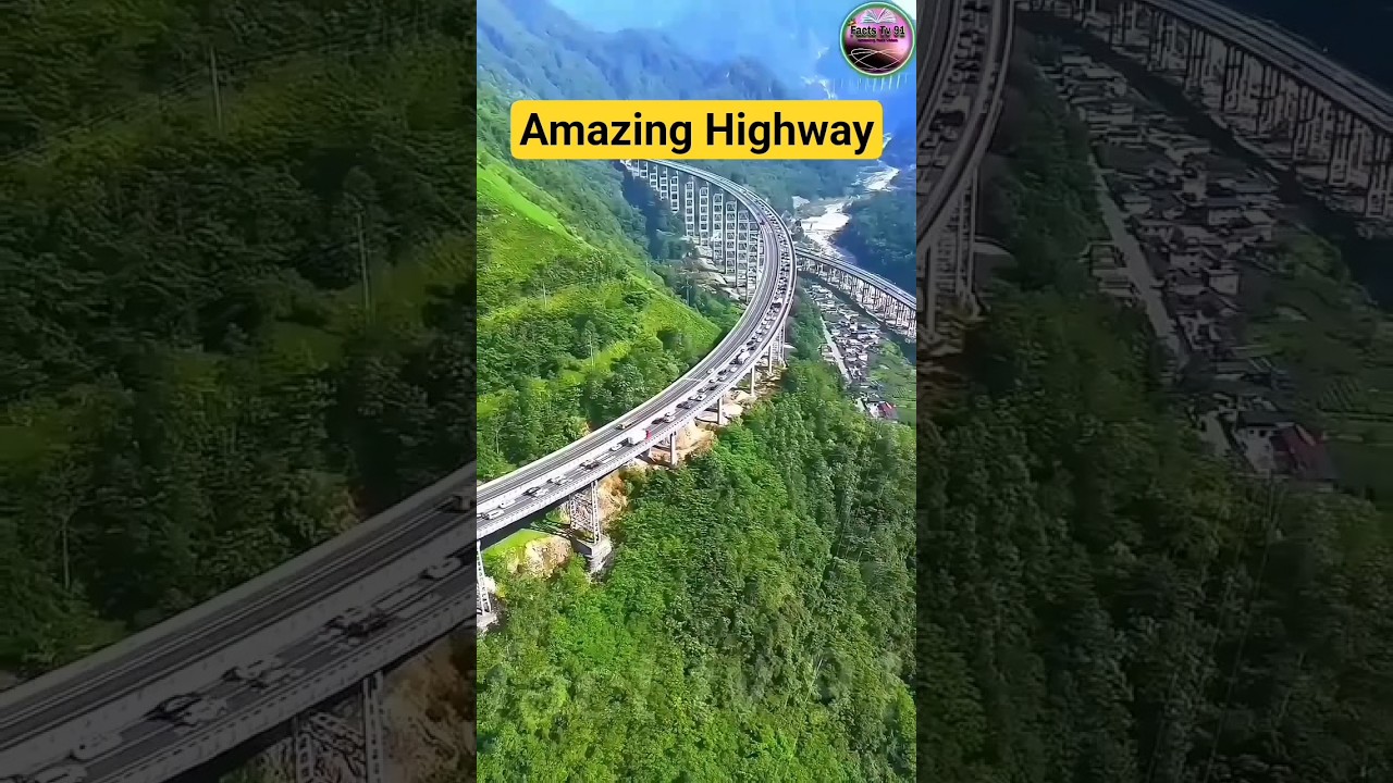 Bridges and highways built by saving forests India 