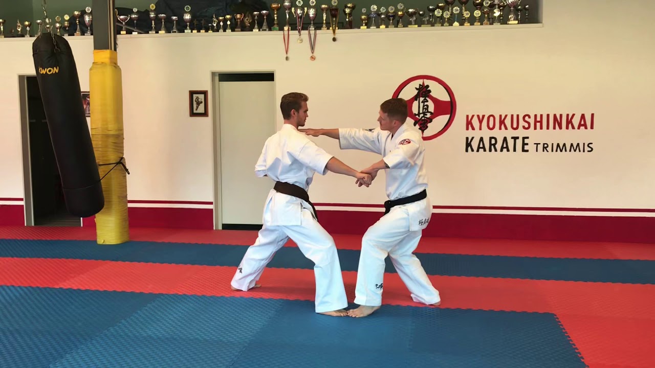 6.Kyu Pinan sono Ni Bunkai