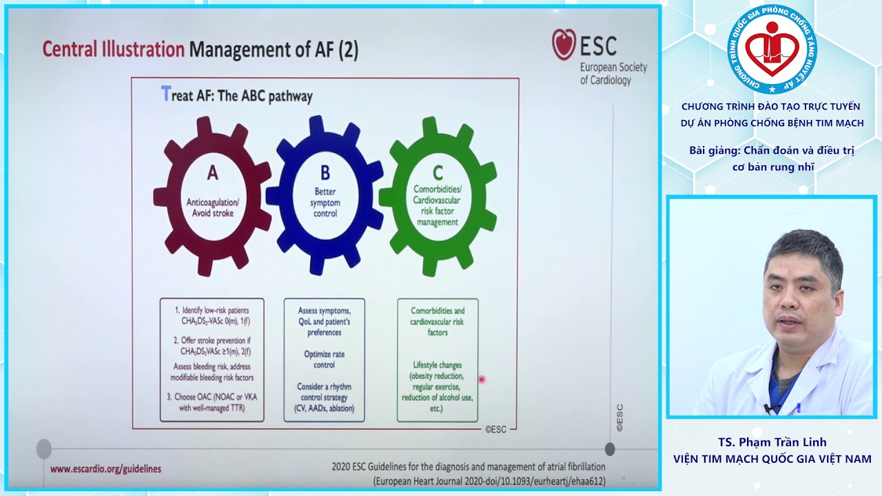 Chẩn đoán và điều trị cơ bản rung nhĩ