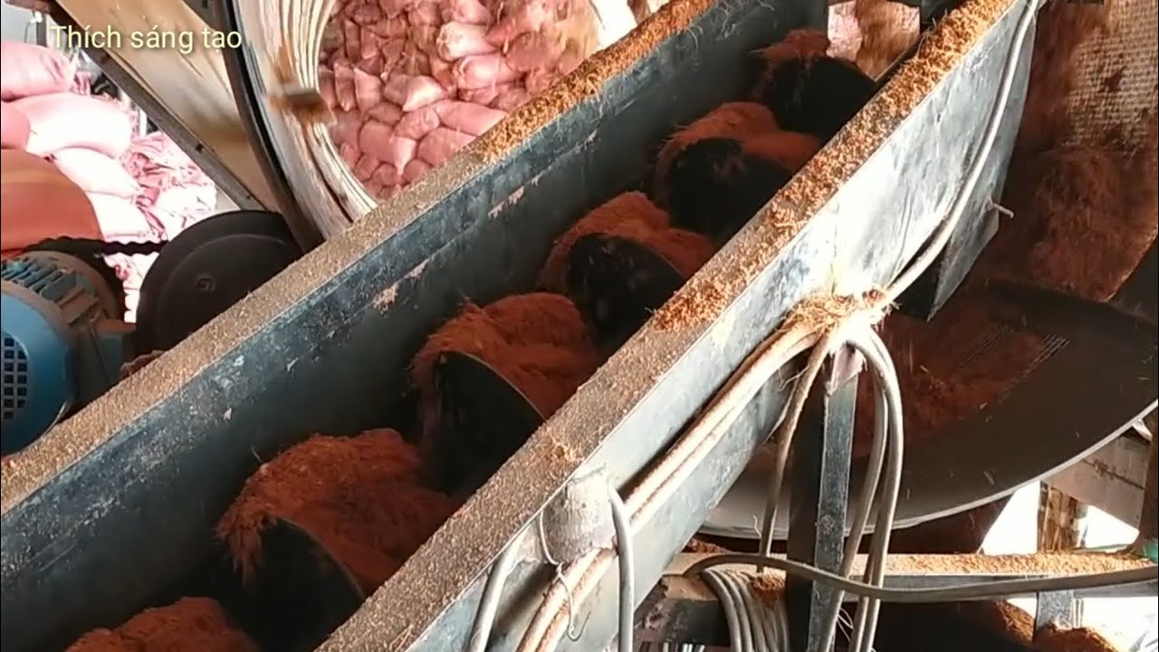 Cách làm mụn dừa xử lý và một số máy làm mụn dừa