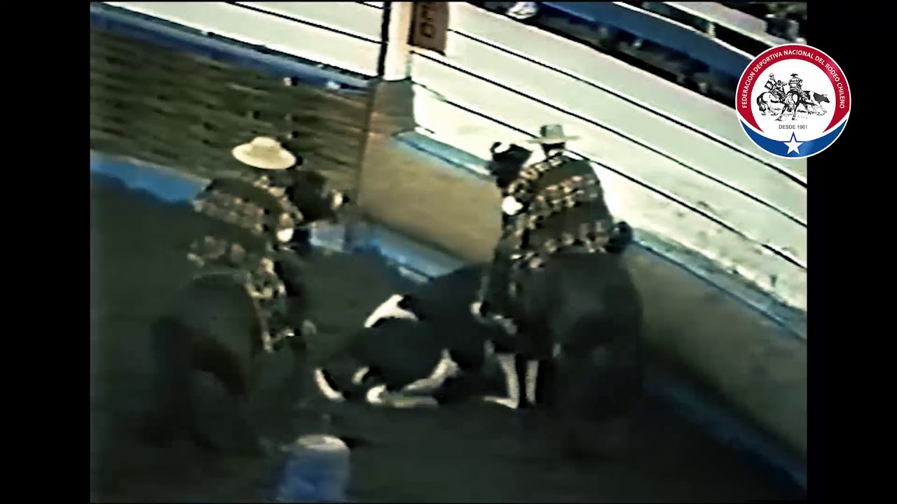 Historia del Rodeo, cap. 12: El Champion de Chile de 1988