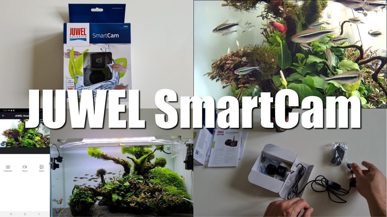 Juwel SmartCam podwodna kamera do akwarium Unboxing & Test