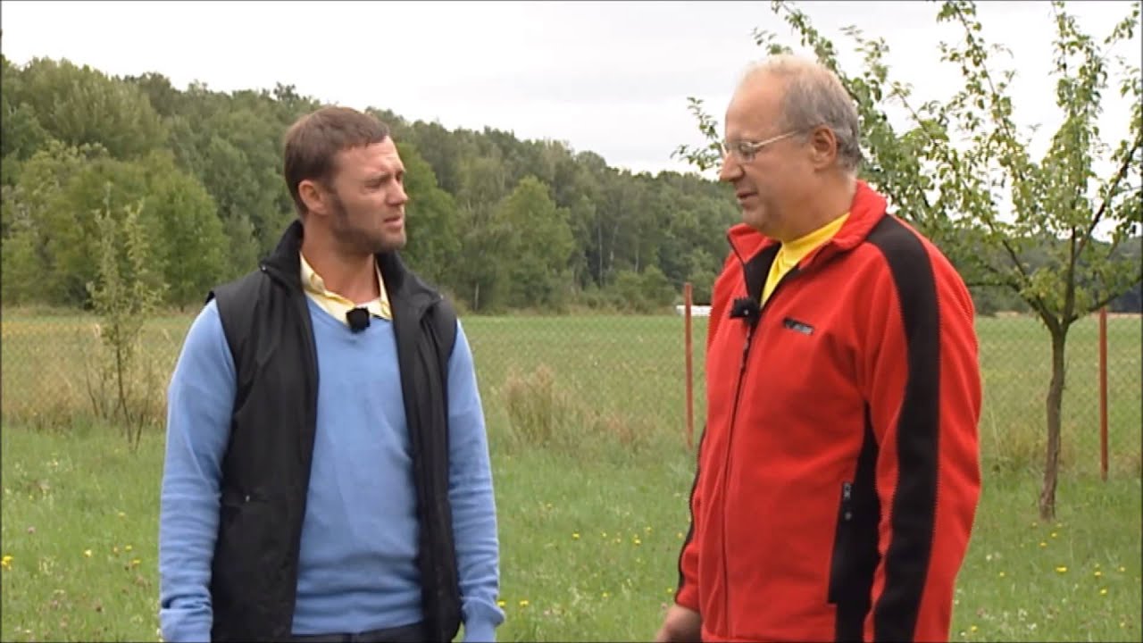 Zásady pro založení trávníku