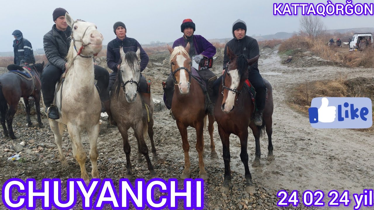 SAMARQAND KATTAQO'RG'ON CHUYANCHI KO'PKARISI 24 02 24 YIL #lak