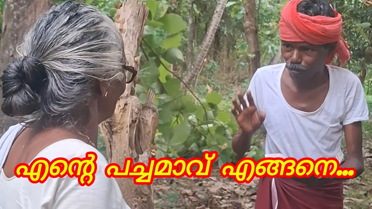 പച്ചമാവ് കിട്ടിയില്ല.... ഇന്നാ തിന്ന് നോക്ക് 😍🙏