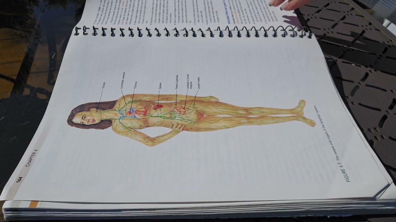 Outdoor ASMR | Medical Textbook Page Turning w/ Birdsong – No Talking