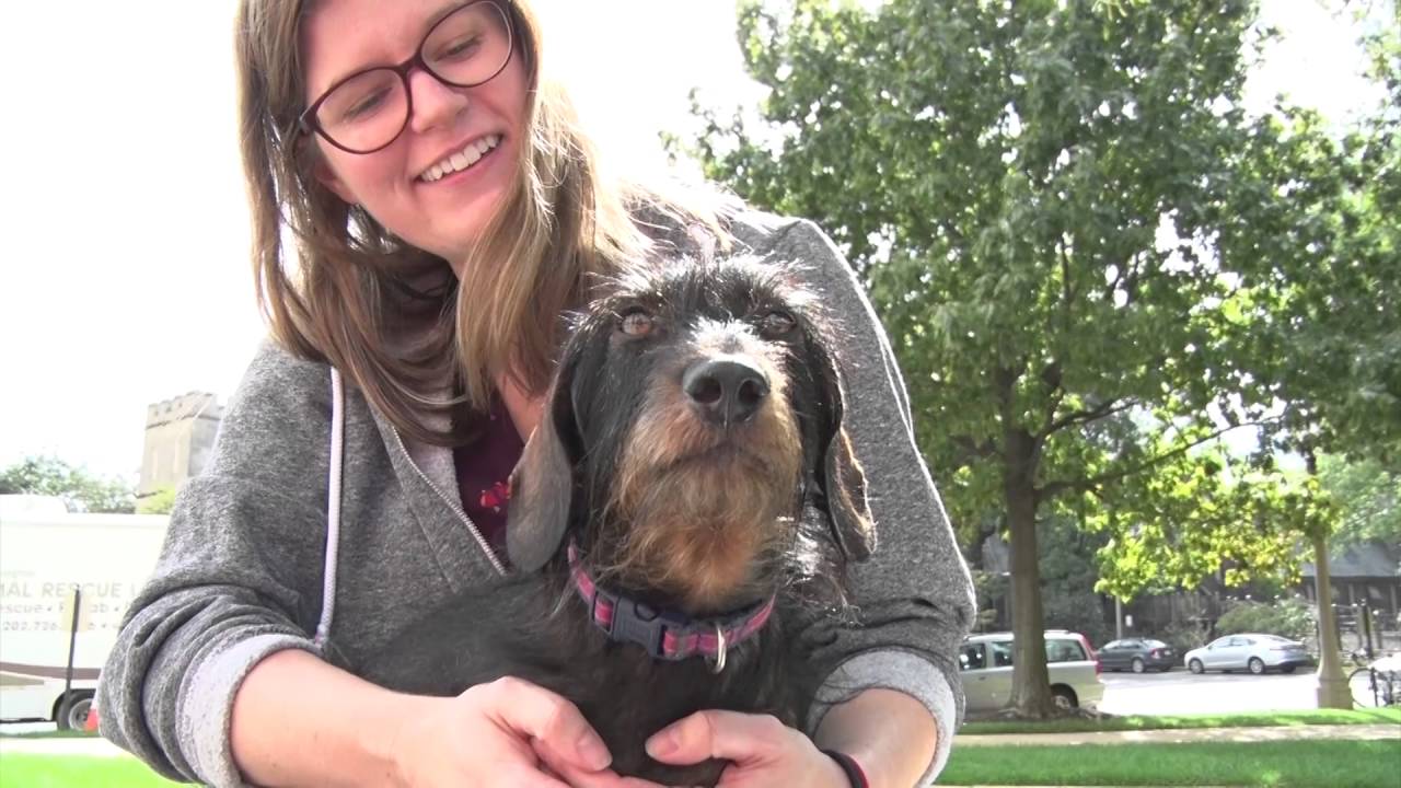 October 2, 2016: Blessing of the Animals