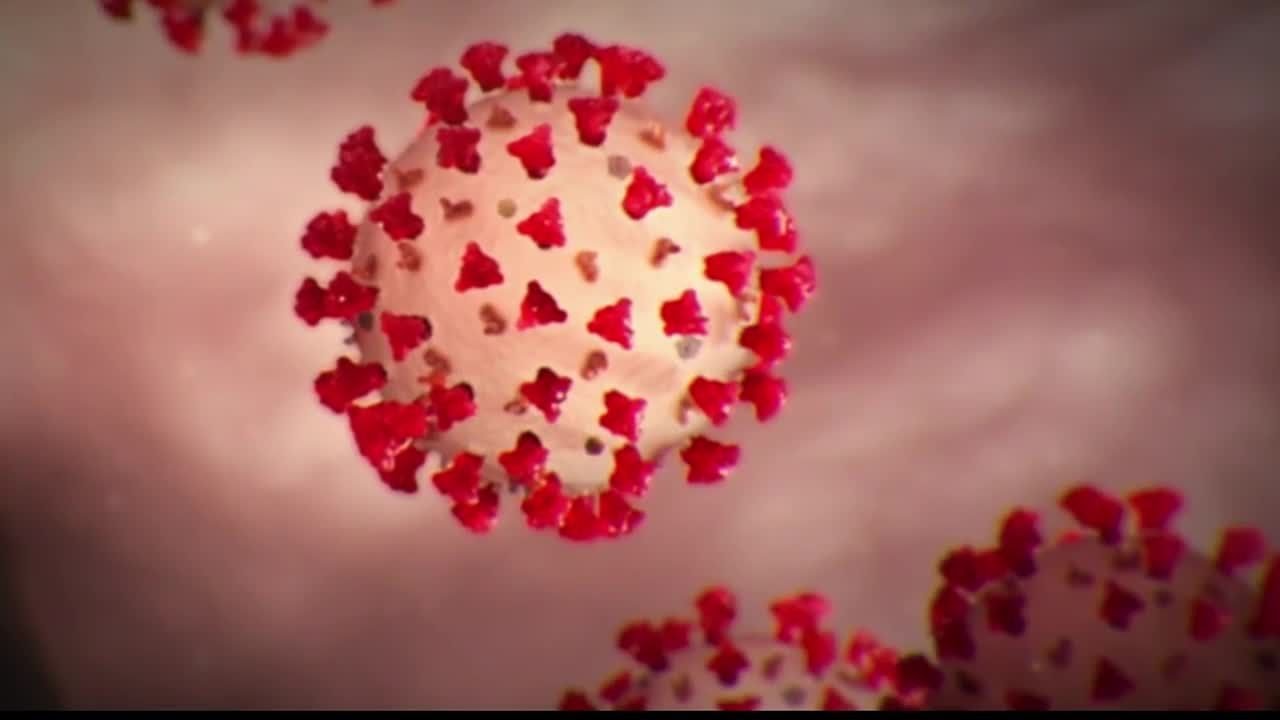 Coronavirus isolation