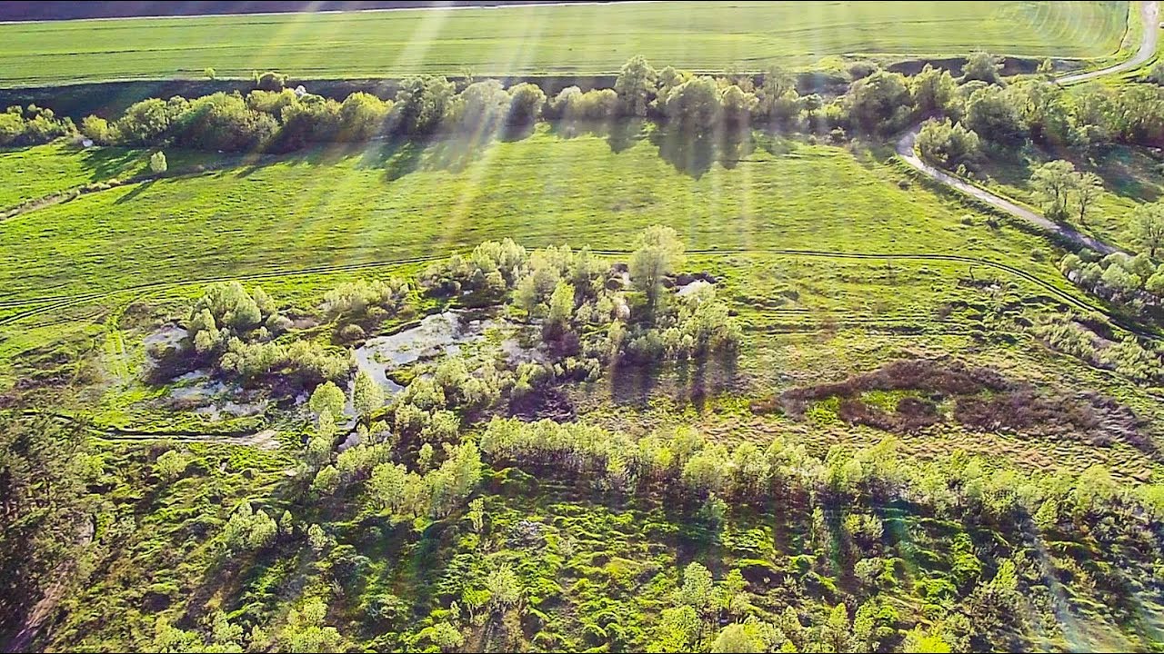 SJRC F11 PRO 4K Video test снятие природы на дрон