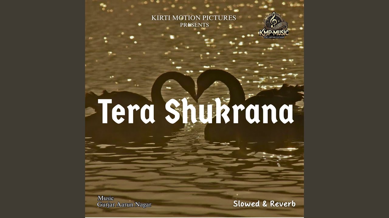 Tera Shukrana Slowed & Reverb