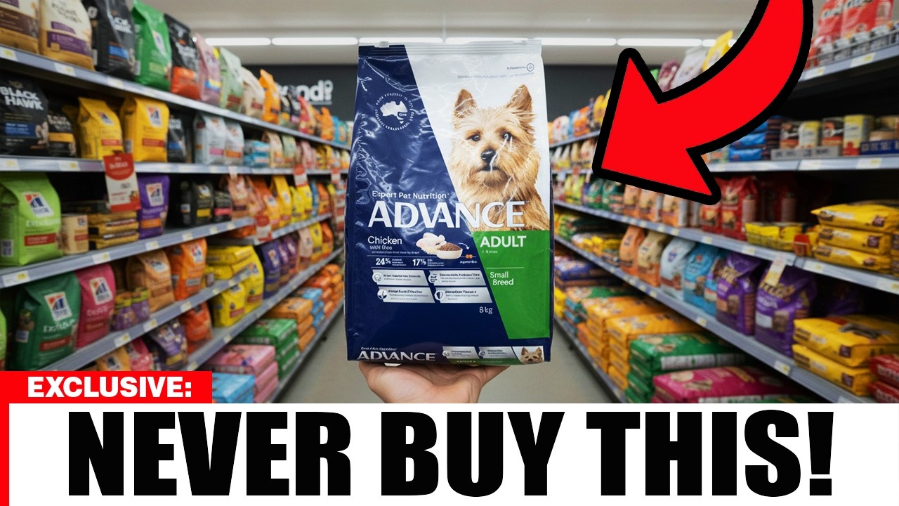 5 FAKE Pet Food Brands You Should NEVER Buy
