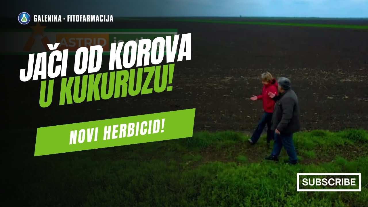 NOVI HERBICID za suzbijanje korova u kukuruzu | DVE AKTIVNE MATERIJE + PROTEKTANT 💪