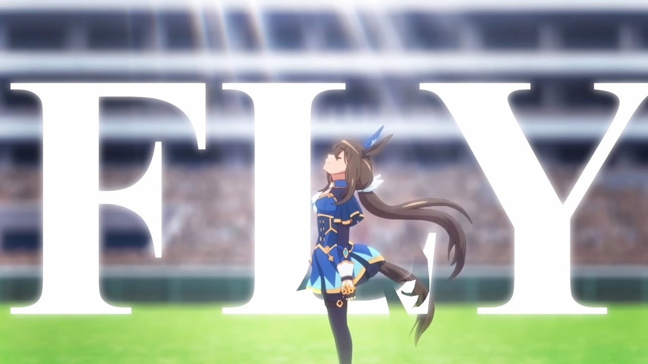 Fly in The Sky