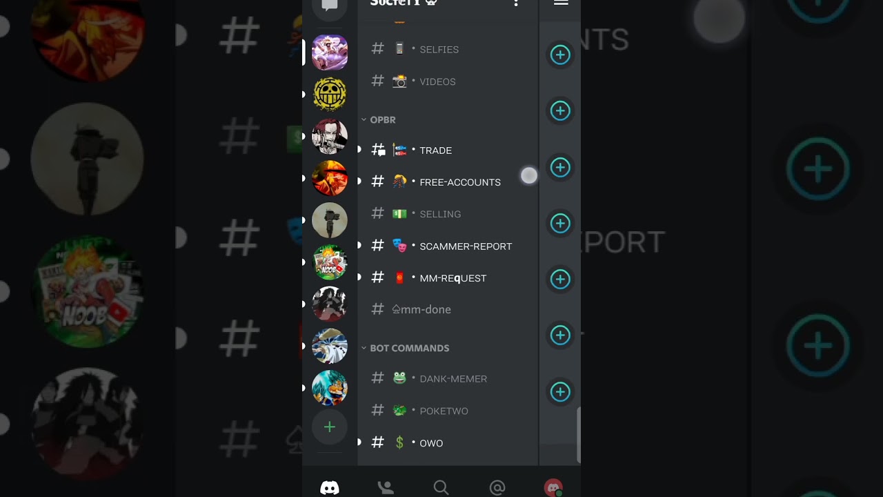 #opbr #opbd discord #opbr free account
