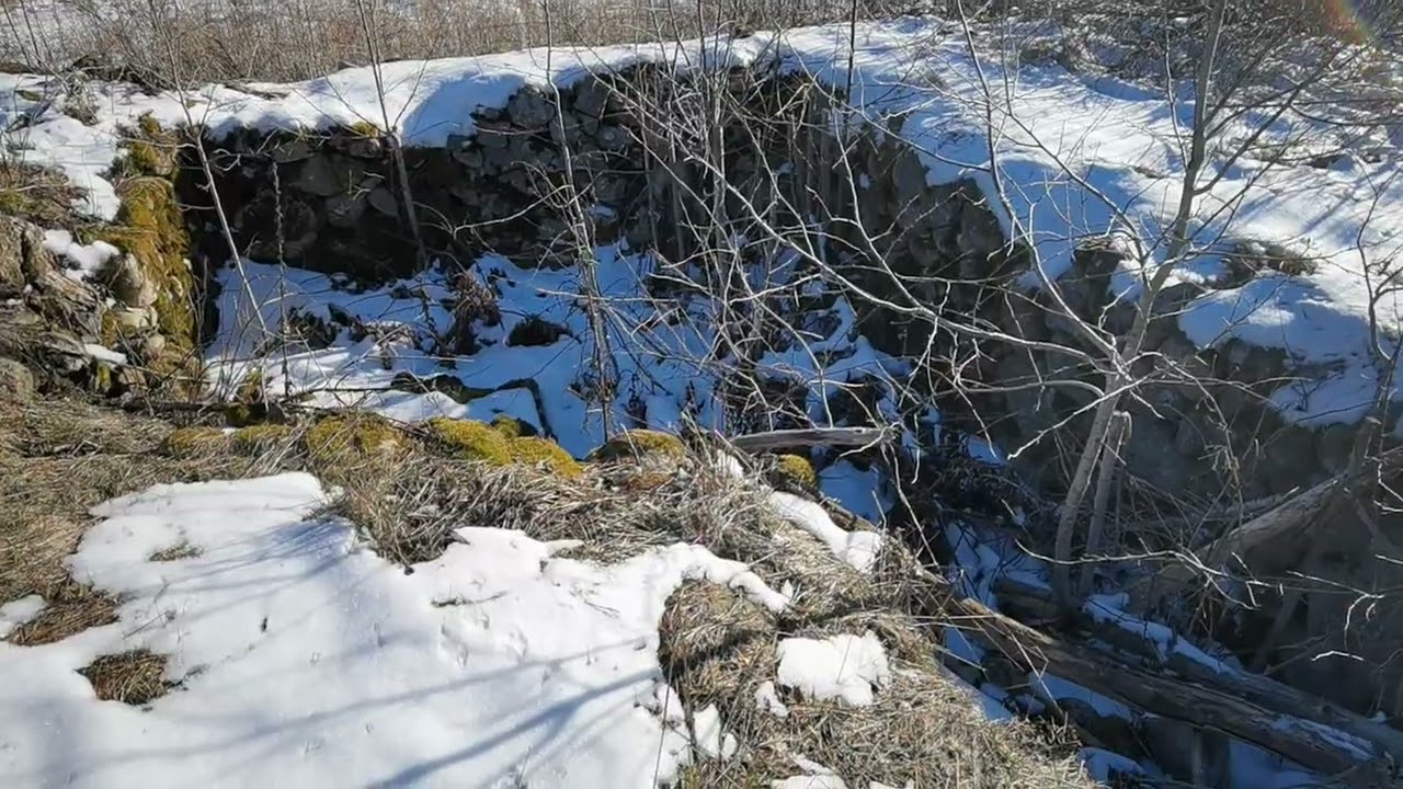 TORPRUINEN i ÖRSERYD (vinter 2023) - Bräkne-Hoby - 2023-03-11 (Ronneby - Blekinge)