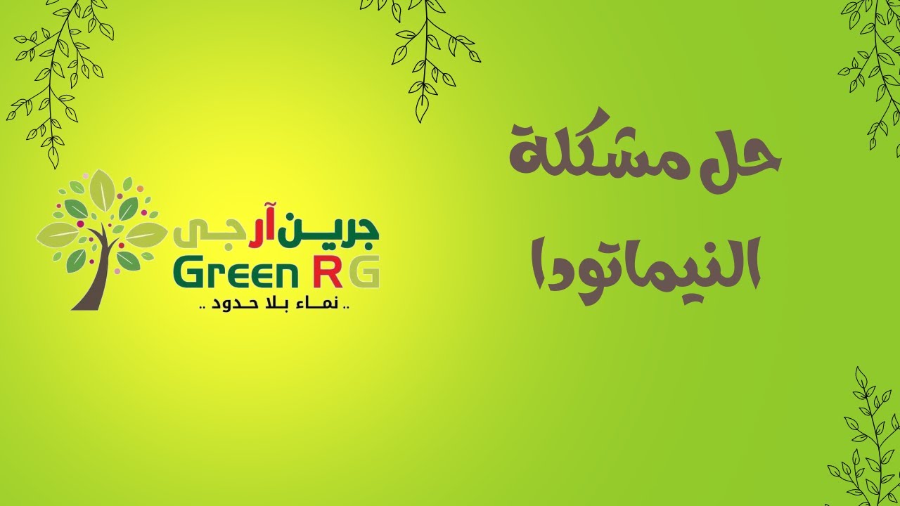 ماهى النيماتودا | طريقة مكافحاتها | كيفية القضاء عليها |علاجها || شركة جرين ارجي للاسمدة والكيماويات