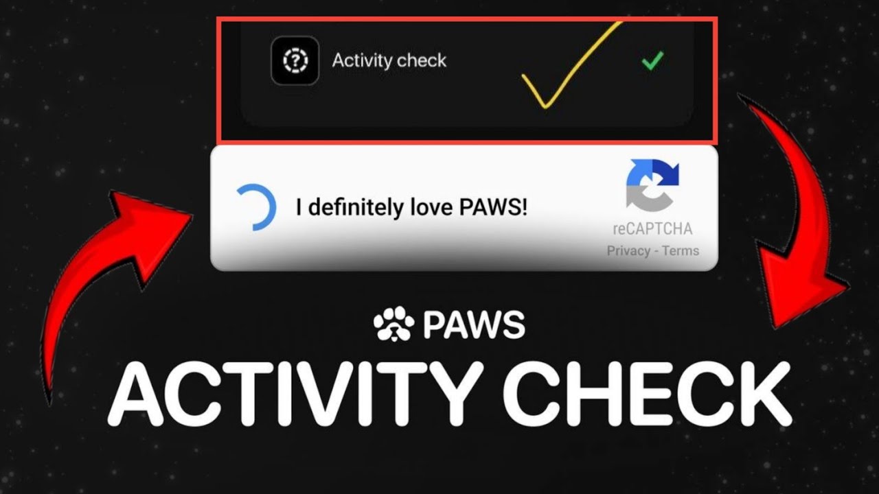 Paws eligibility check bangla । paws eligibility kaise check kare।  paws wallet connect।