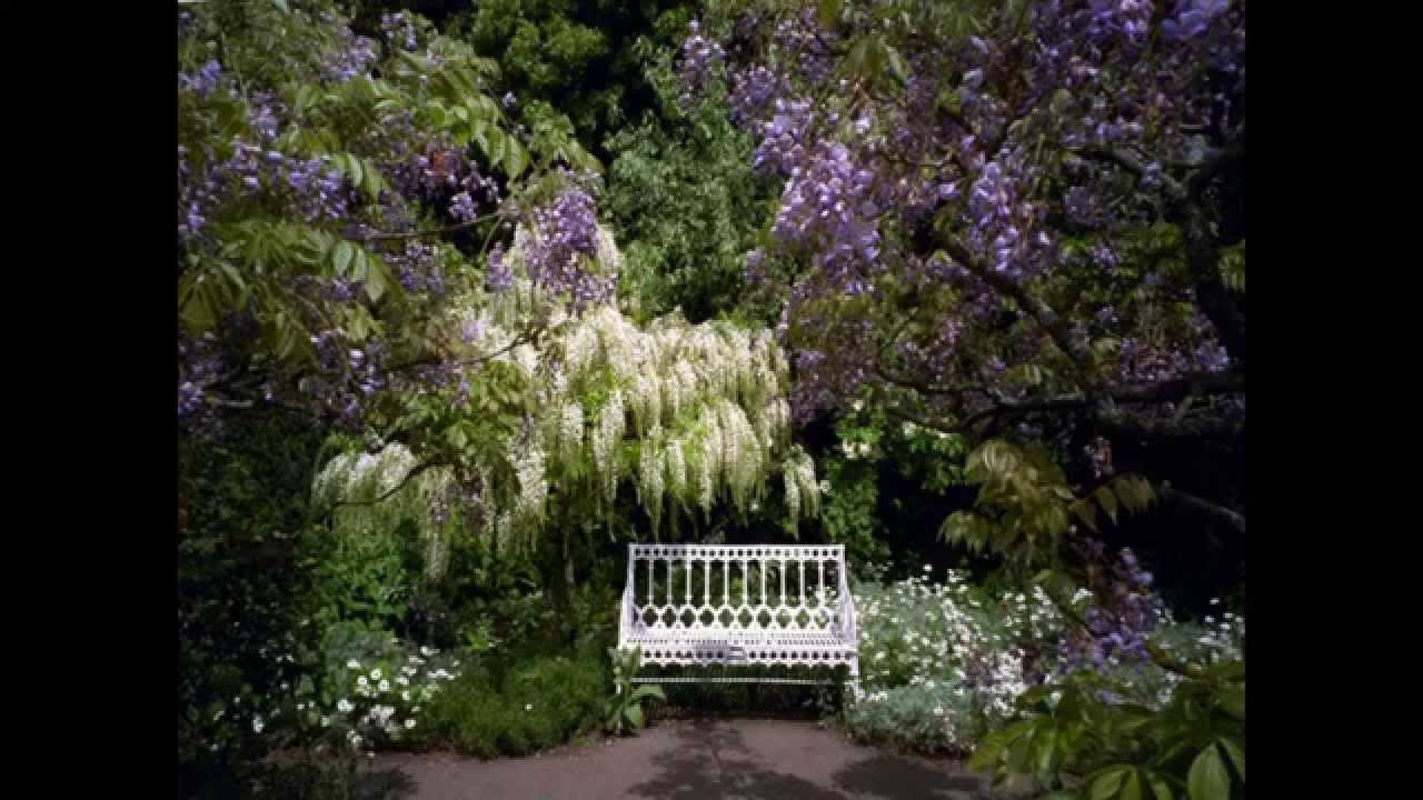 Jardins Anglais