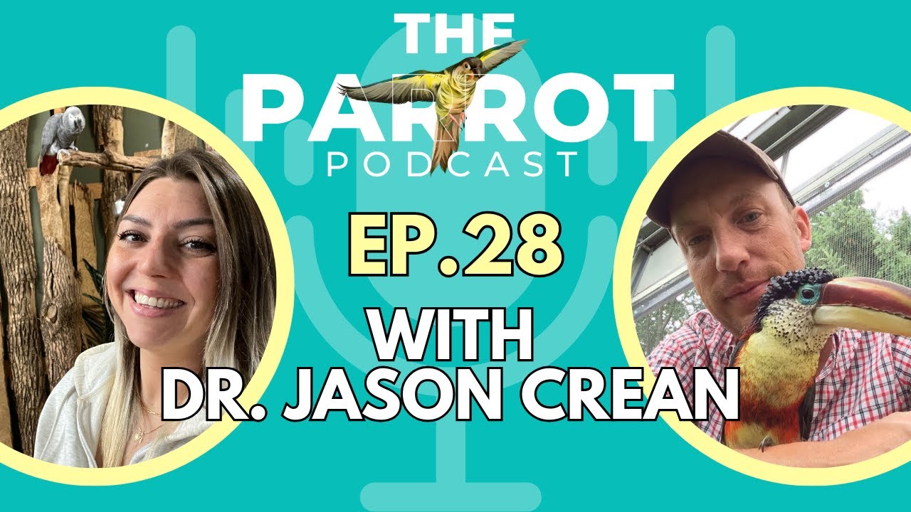 Parrot Diet & Nutrition, Avian Teas & What Parrots Eat According to SCIENCE! | The Parrot Podcast 28