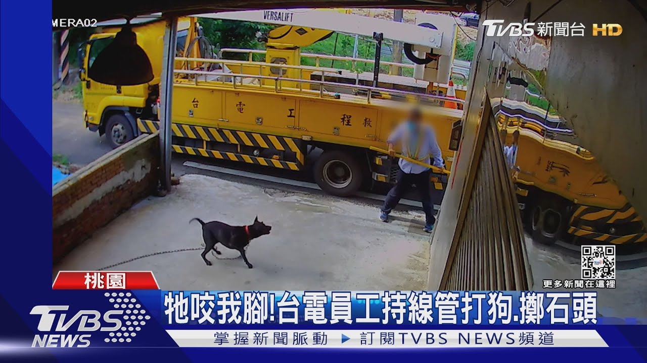 台電員工維修遭狗咬 持線管闖民宅追打｜TVBS新聞