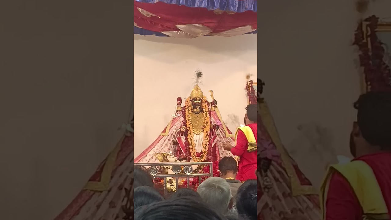 নৈহাটি বড় মা এর আজকের সন্ধ্যা আরতি দর্শন🙏||JOY BORO MAA🌺||#boromaanaihati #viral#video #shortvideo